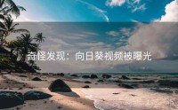 奇怪发现：向日葵视频被曝光