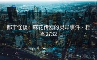 都市怪谈：麻花传剧的灵异事件 · 档案2732