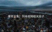 爆笑合集：冈本视频相关段子
