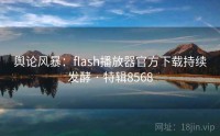 舆论风暴：flash播放器官方下载持续发酵 · 特辑8568