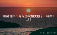 爆笑合集：月光影院相关段子 · 档案3132