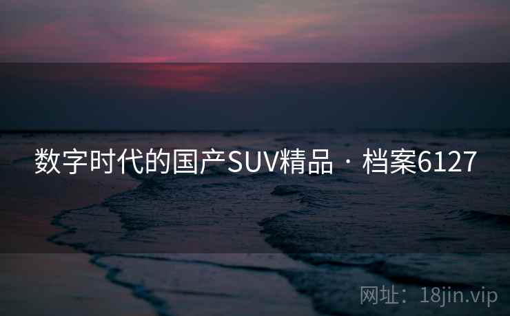 数字时代的国产SUV精品 · 档案6127