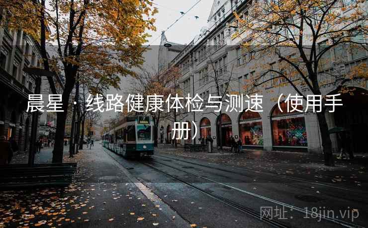 晨星 · 线路健康体检与测速(使用手册) 晨星 · 线路健康体检与测速(使用手册)