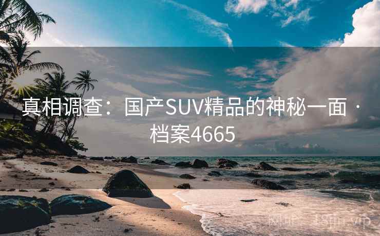 真相调查:国产SUV精品的神秘一面 · 档案4665 真相调查:国产SUV精品的神秘一面 · 档案4665
